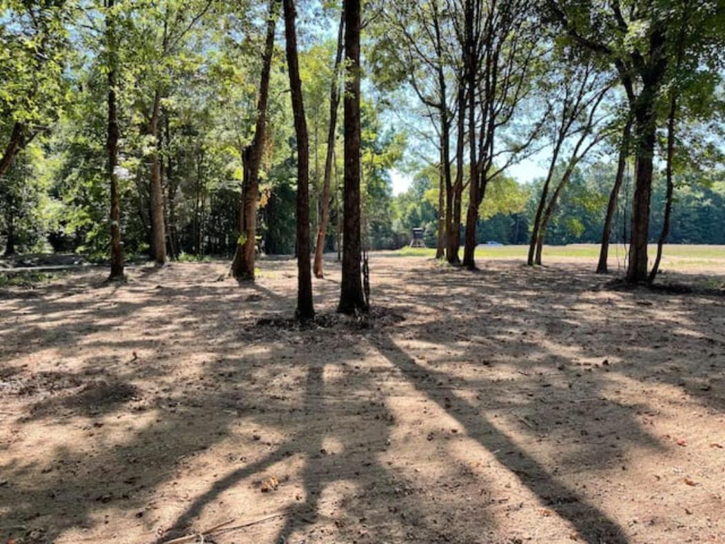Charming Tiny Home! Close To Oxford, Sardis Lake, Safari Animal Zoo 外观 照片