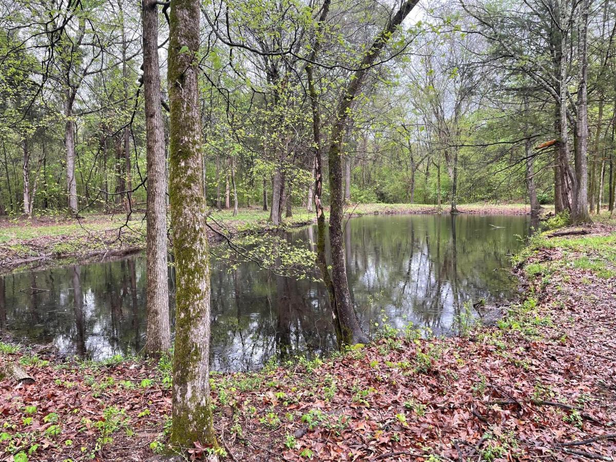 Charming Tiny Home! Close To Oxford, Sardis Lake, Safari Animal Zoo 外观 照片
