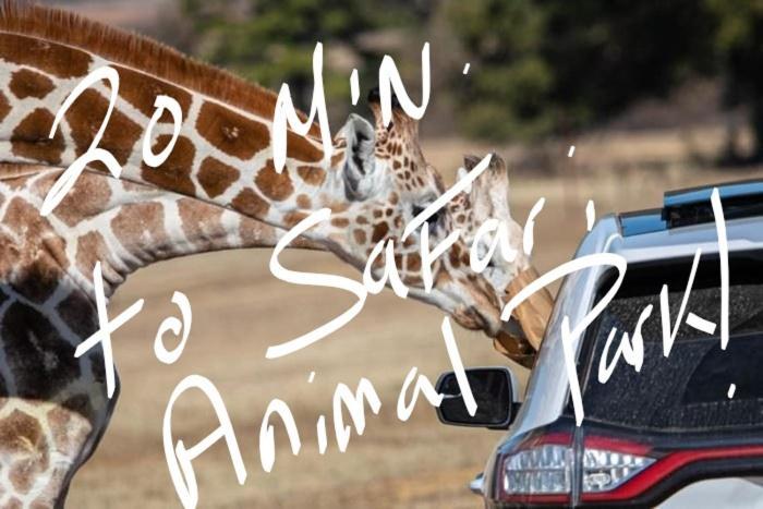 Charming Tiny Home! Close To Oxford, Sardis Lake, Safari Animal Zoo 外观 照片
